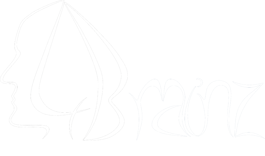 4brainz - webdesign & development